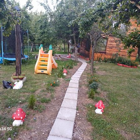 La Tataie Nucsoara Nucşoara Exteriör bild