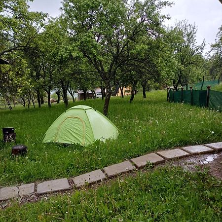 La Tataie Nucsoara Nucşoara Exteriör bild