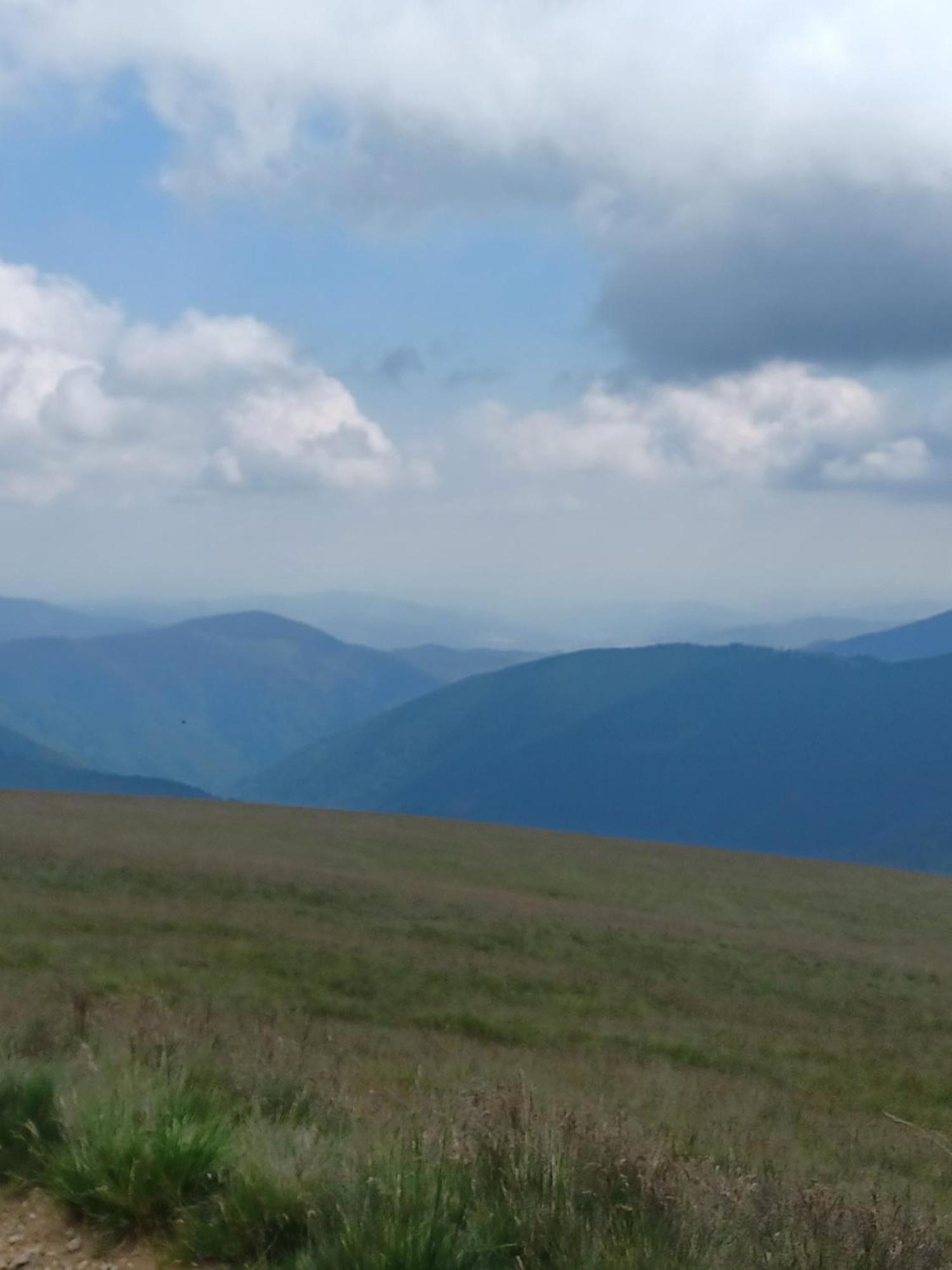 La Tataie Nucsoara Nucşoara Exteriör bild