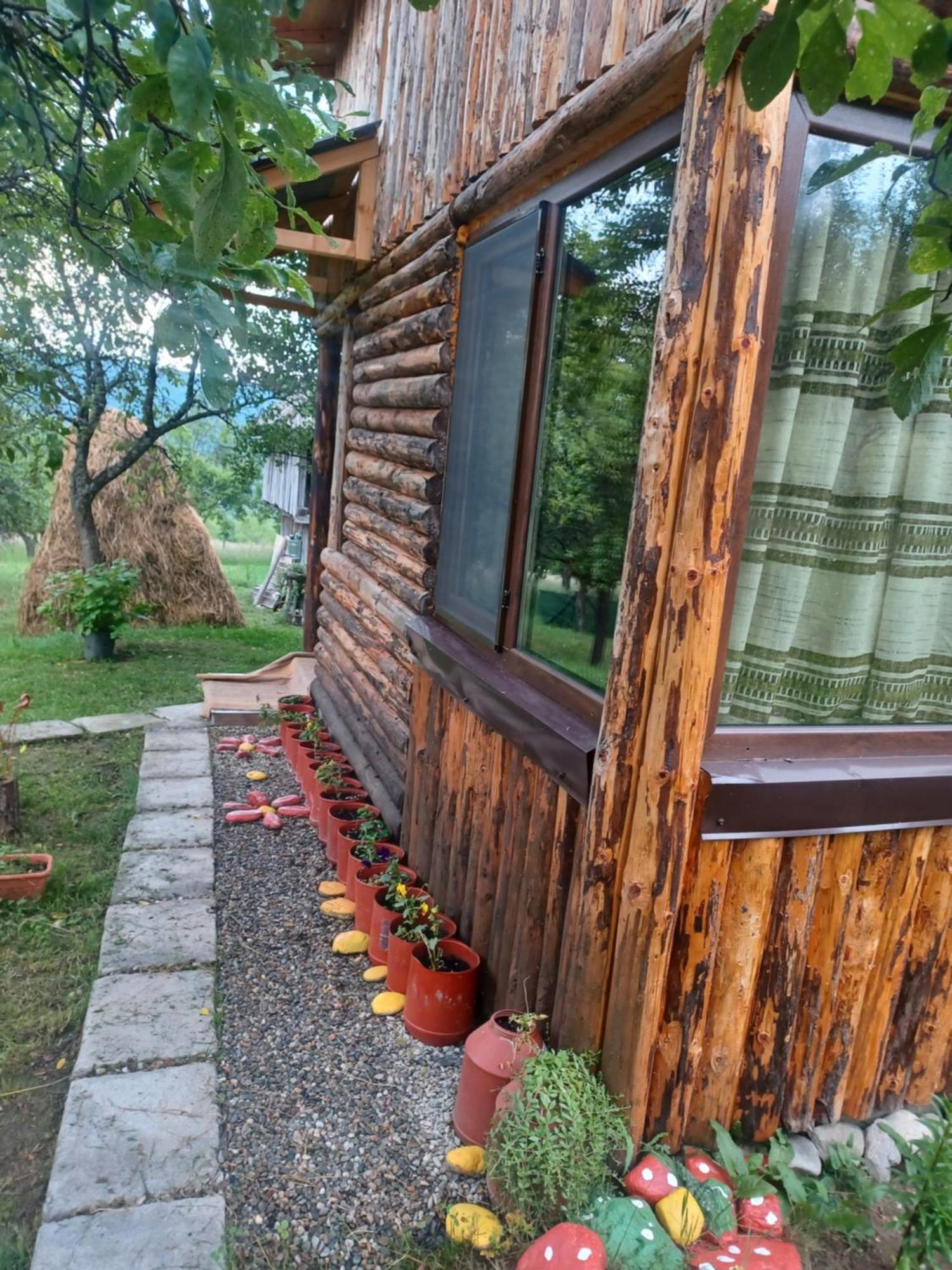 La Tataie Nucsoara Nucşoara Exteriör bild