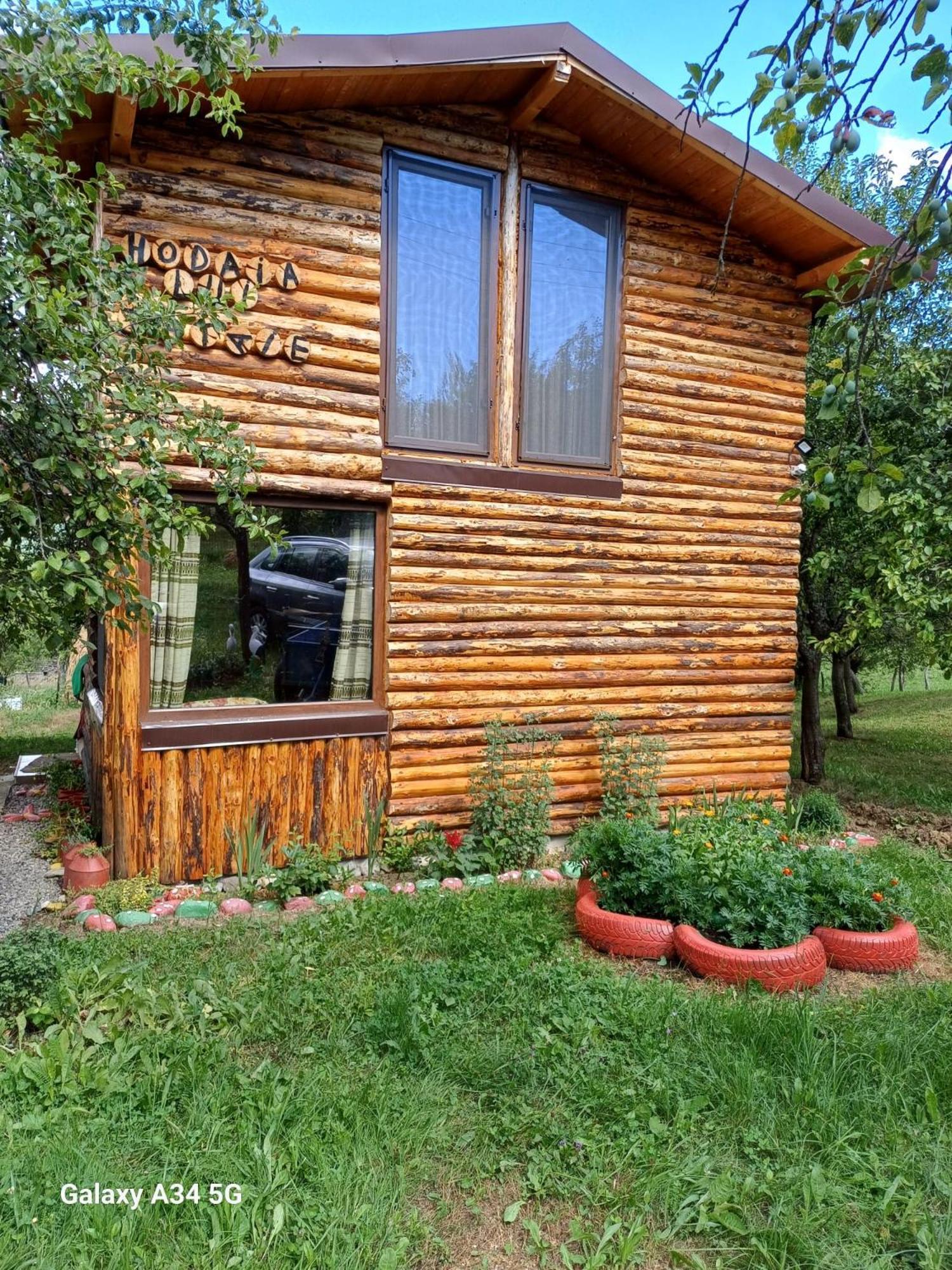 La Tataie Nucsoara Nucşoara Exteriör bild