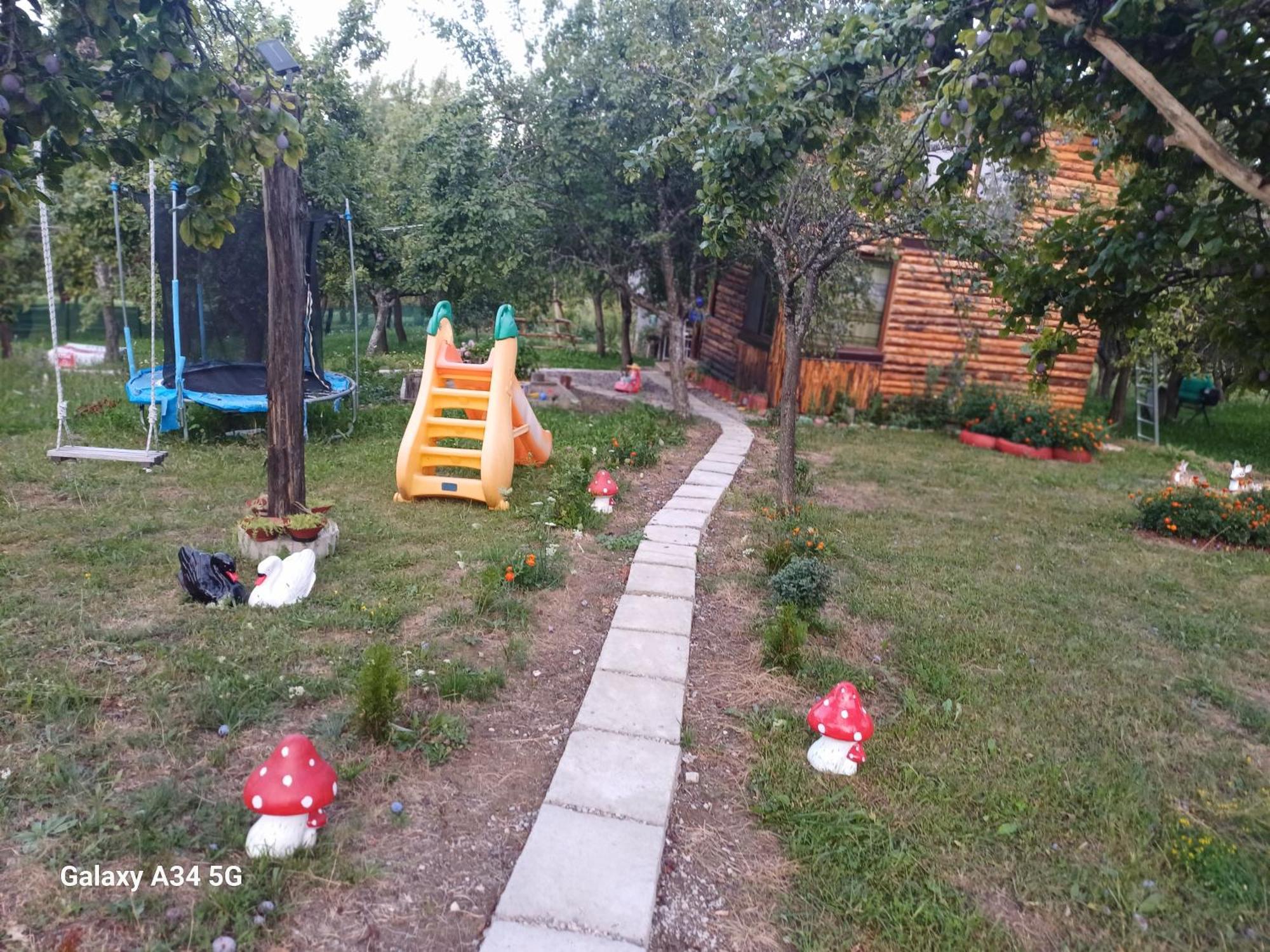 La Tataie Nucsoara Nucşoara Exteriör bild