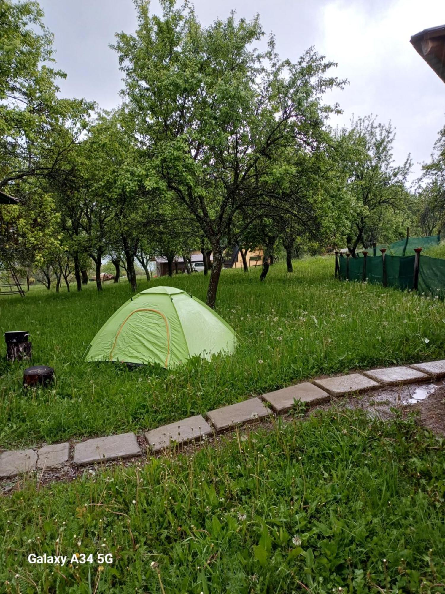 La Tataie Nucsoara Nucşoara Exteriör bild